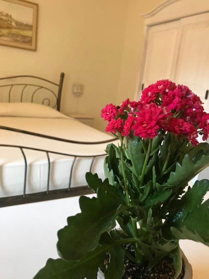 Domo Antiga Guest Rooms Сорсо Екстериор снимка