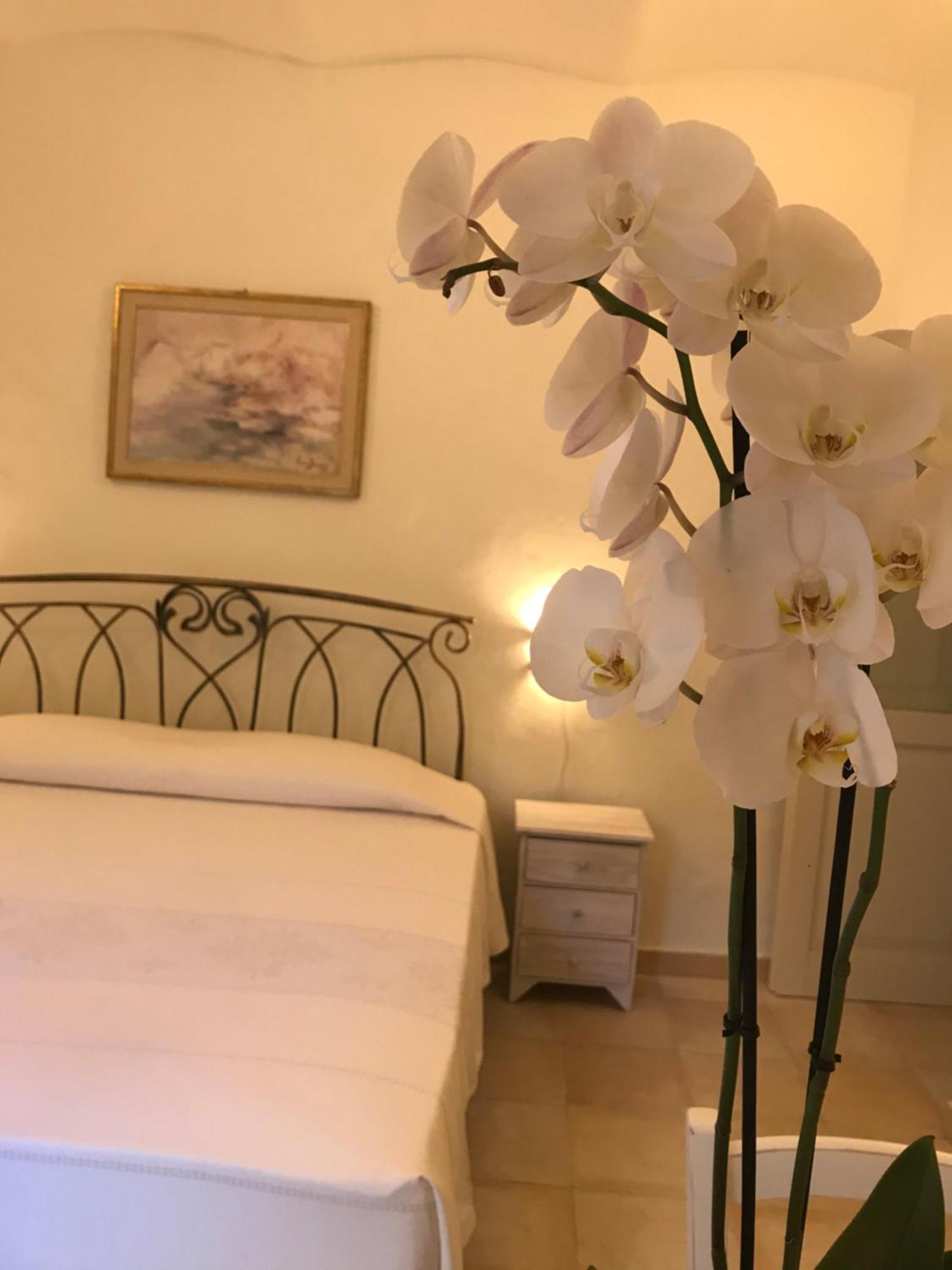 Domo Antiga Guest Rooms Сорсо Екстериор снимка